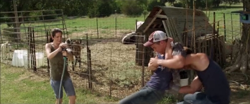 Click to view full size image