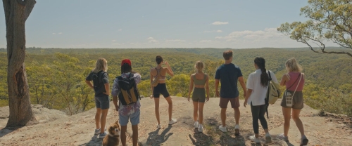 Click to view full size image